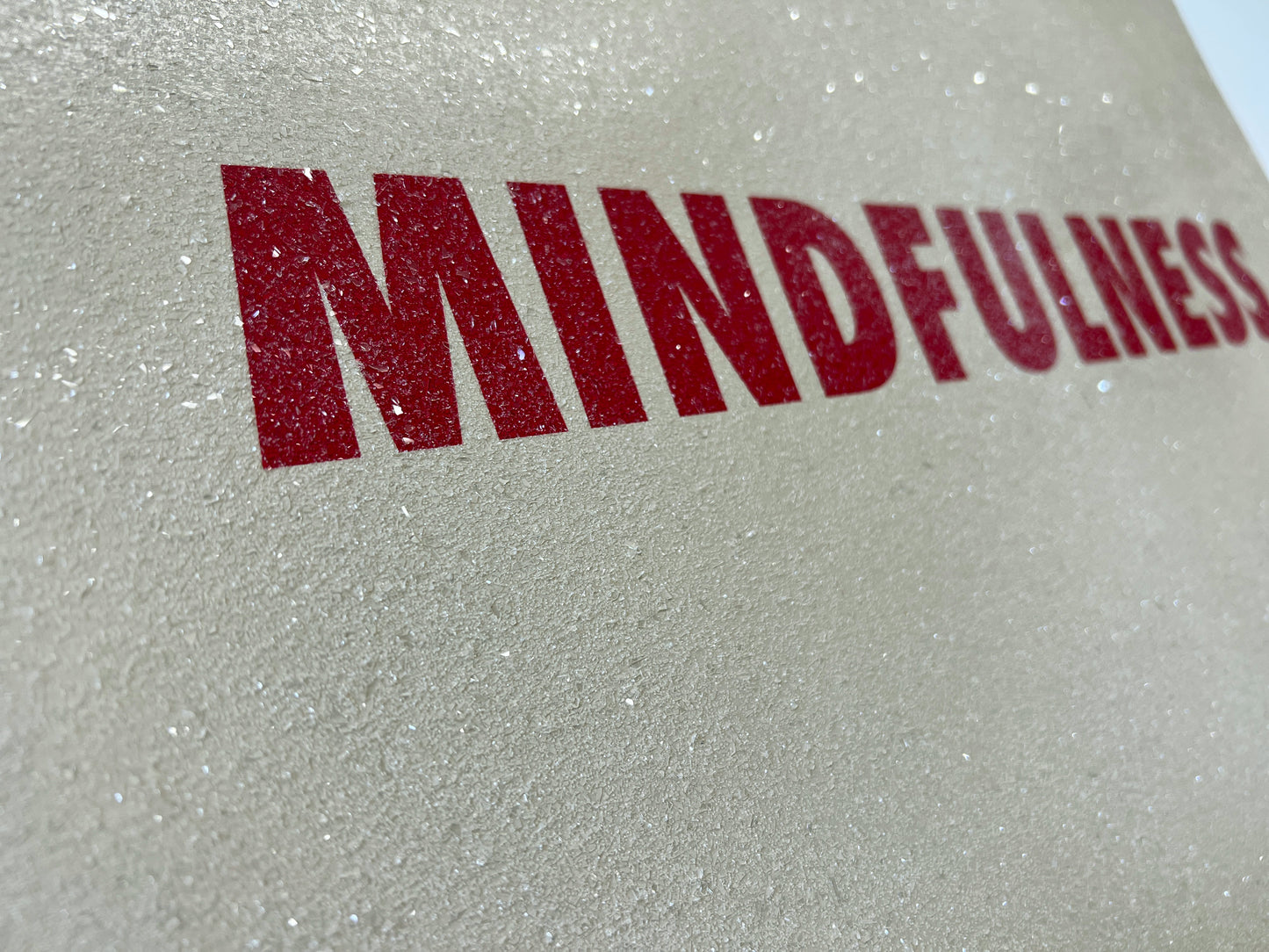 MINDFULNESS, 2023